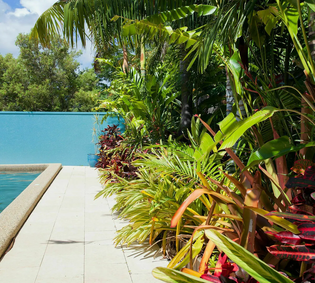 **** Apartahotel Seaforth Apartments Trinity Beach Australia